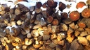 Holzscheite4